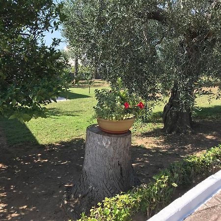 Villa Il Carrubo - Basilicata بيستيشي المظهر الخارجي الصورة