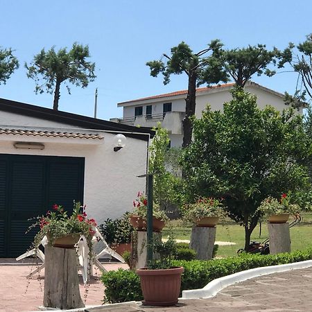 Villa Il Carrubo - Basilicata بيستيشي المظهر الخارجي الصورة