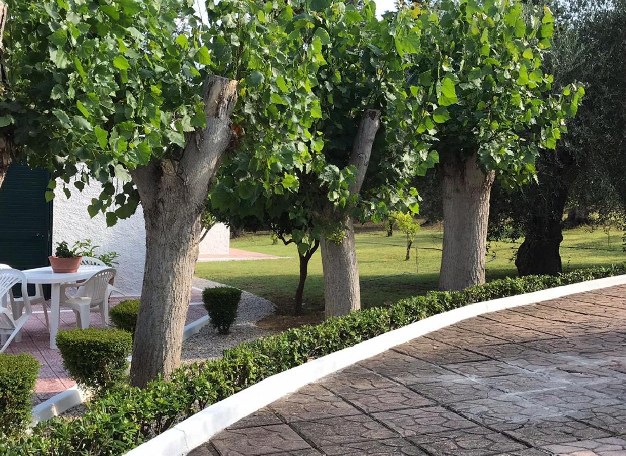 Villa Il Carrubo - Basilicata بيستيشي المظهر الخارجي الصورة