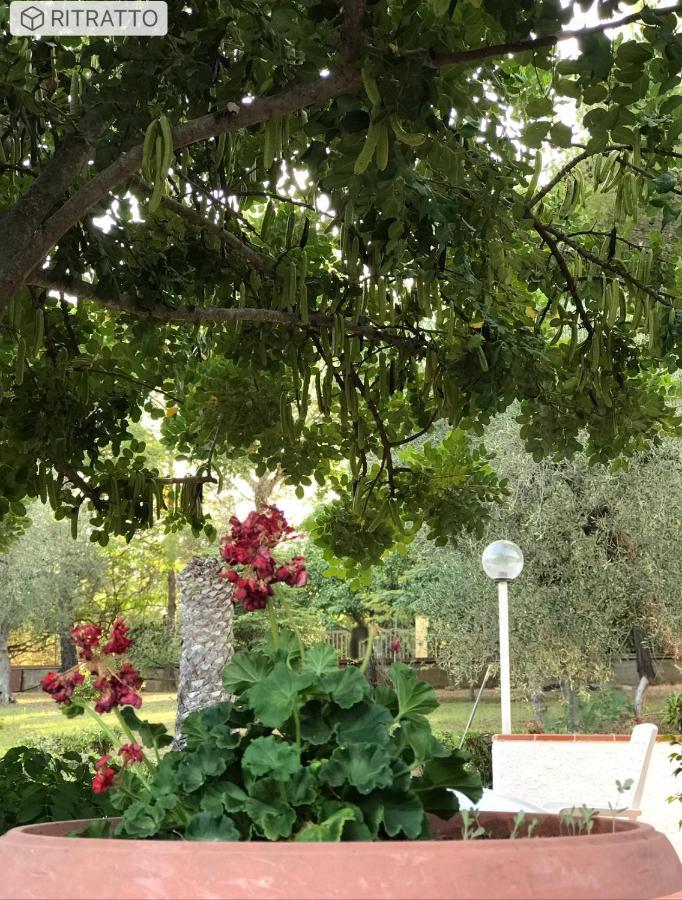 Villa Il Carrubo - Basilicata بيستيشي المظهر الخارجي الصورة