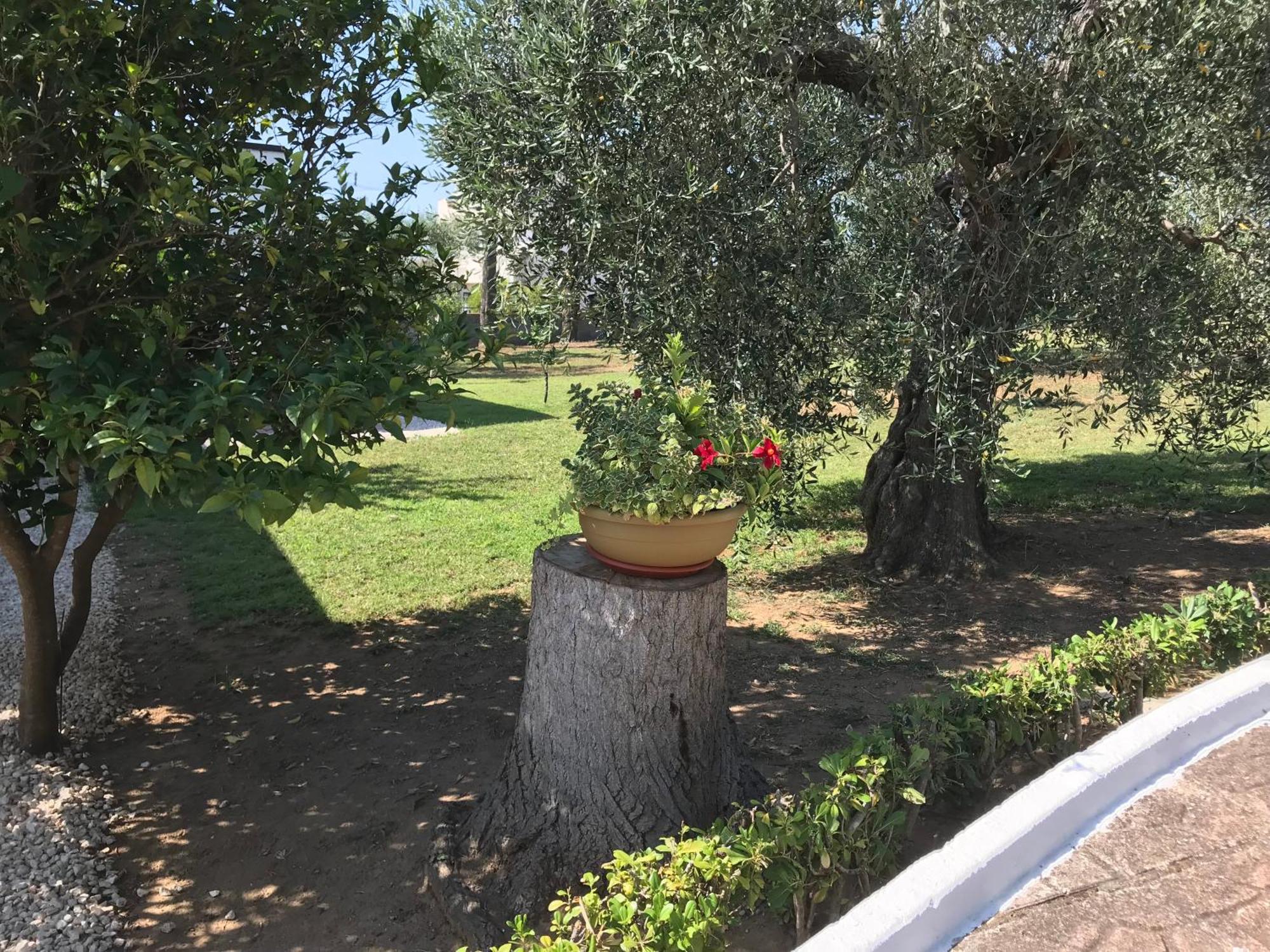 Villa Il Carrubo - Basilicata بيستيشي المظهر الخارجي الصورة