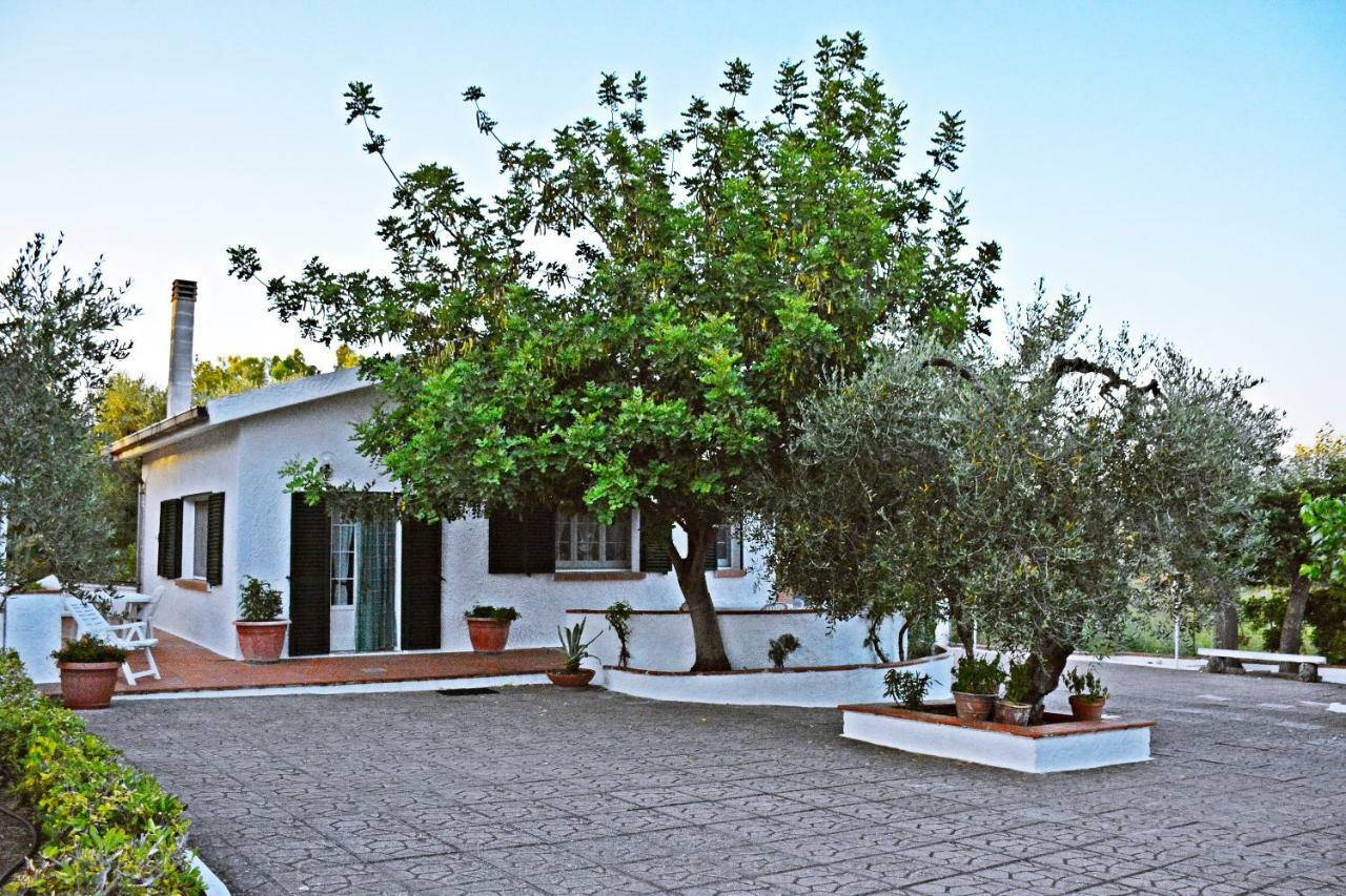 Villa Il Carrubo - Basilicata بيستيشي المظهر الخارجي الصورة