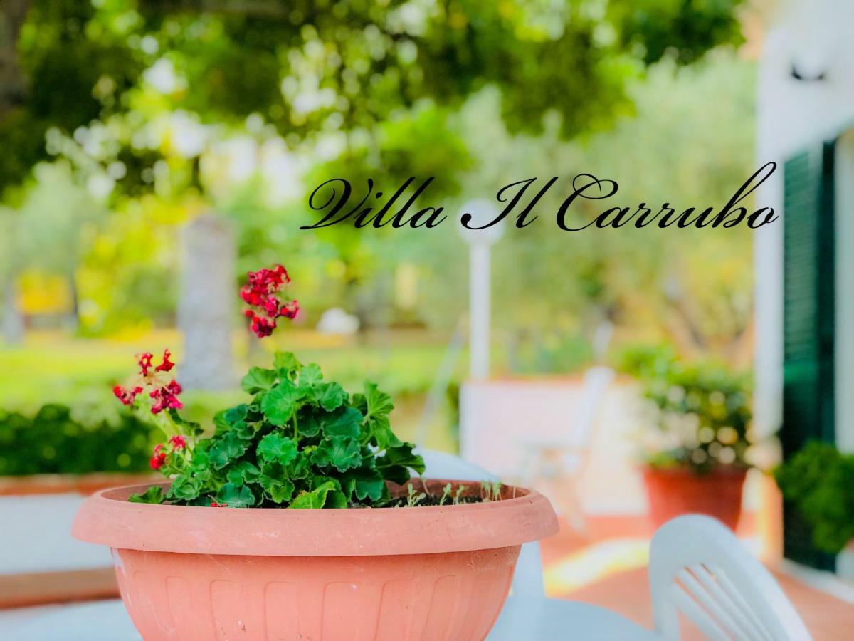 Villa Il Carrubo - Basilicata بيستيشي المظهر الخارجي الصورة